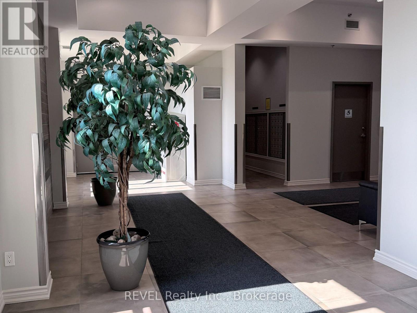 A large tree in a pot is the centerpiece of a hallway.