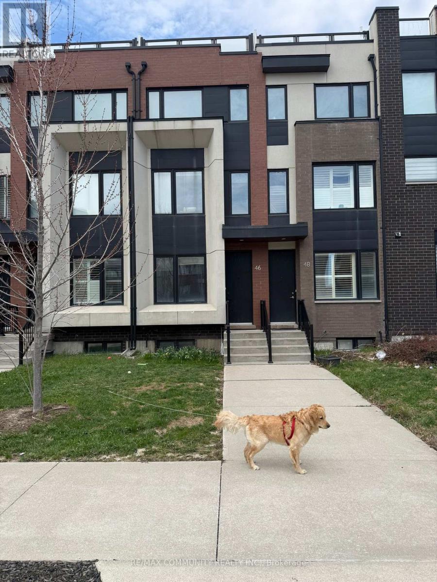 A dog is walking on a sidewalk in front of a building.