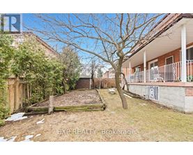 A backyard with a tree, a fence, and a building in the background.