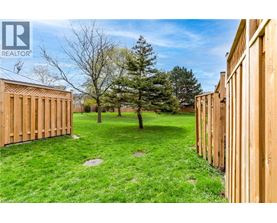 A grassy yard with a tree and wooden fence.