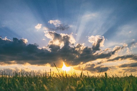 The sun is shining through the clouds over a field of tall grass.