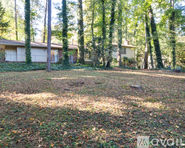 A backyard with a house, trees, and a lawn.