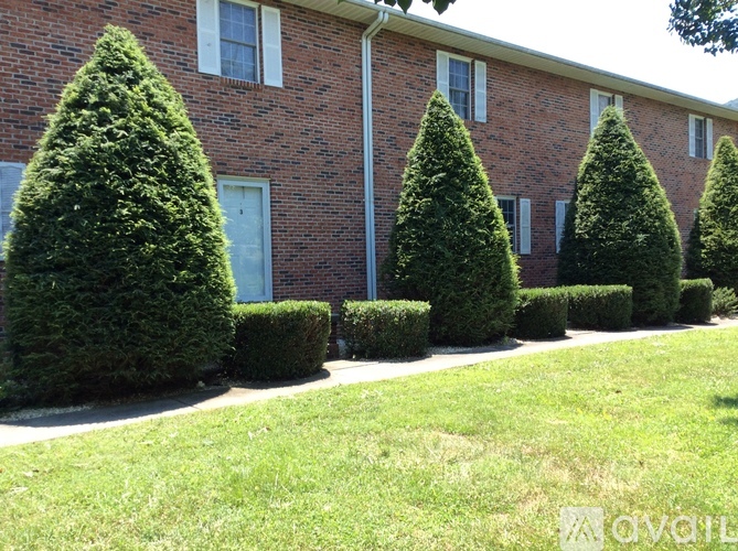 A row of green trees in front of a brick building.