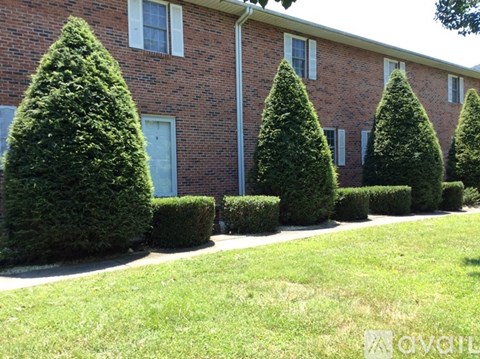A row of green trees in front of a brick building.