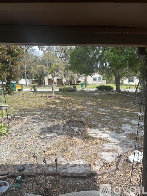 A backyard with a dirt area and a few plants.
