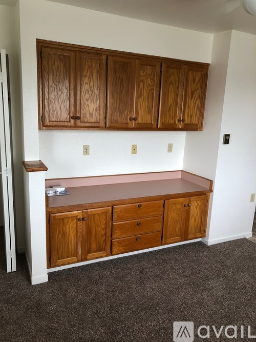 A kitchen with wooden cabinets and a countertop.