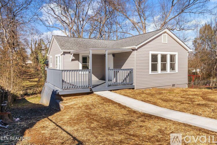 A house with a grey siding and a white window is surrounded by trees.