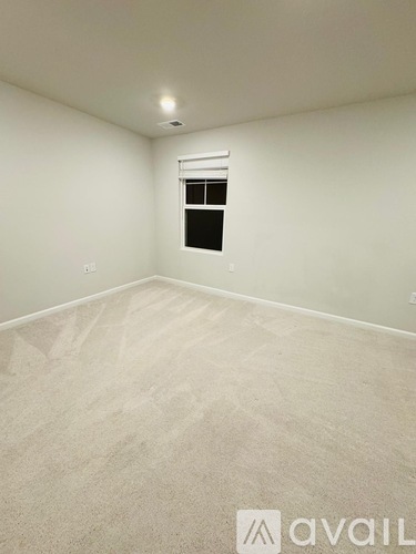 A room with a carpeted floor and a window.