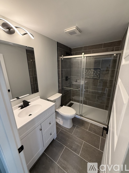 A bathroom with a walk-in shower and a toilet.