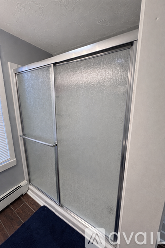 A room with a frosted glass door and a blue rug.