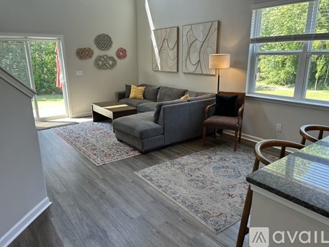 A living room with a grey couch and a rug.