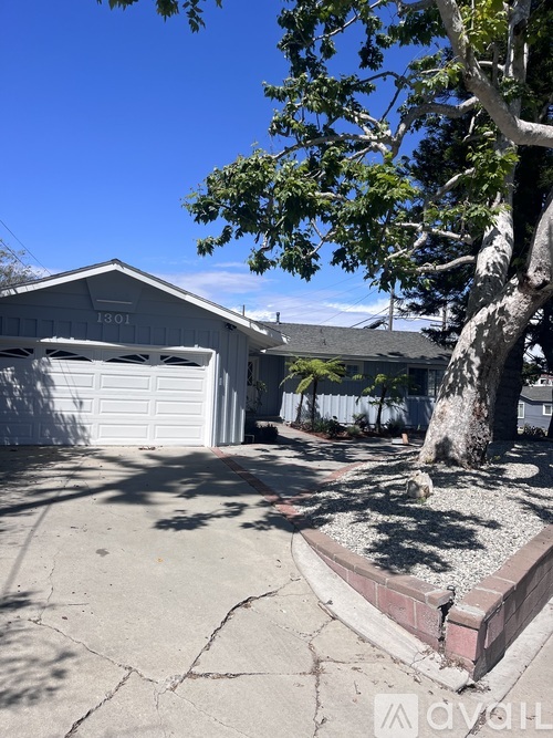 A tree in a landscaped area in front of a garage.
