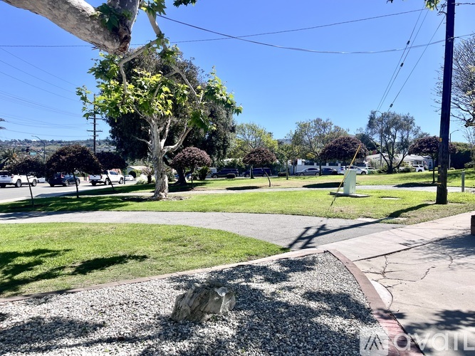 A tree with green leaves is in the middle of a grassy area.