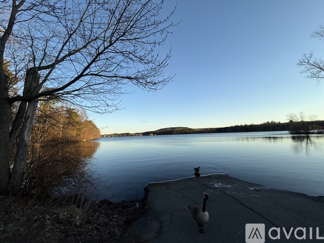 A serene lake with a person sitting on a rock and a tree branch in the foreground.