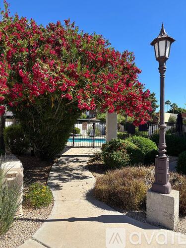 A street lamp stands next to a path with a tree with red flowers on the left.