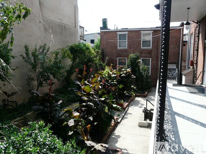 A narrow alley with plants on both sides.