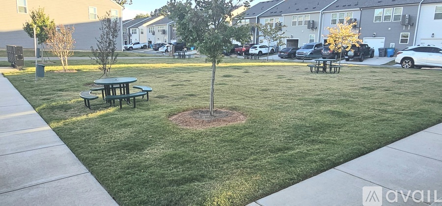 A tree stands in a grassy area with a picnic table nearby.