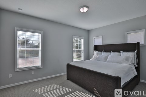 A bedroom with a large bed and two windows.