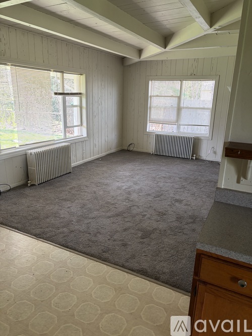 A room with a carpeted floor and two windows.