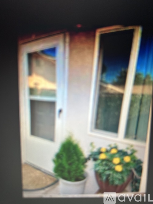 A white door with a glass window and a potted plant on the step.