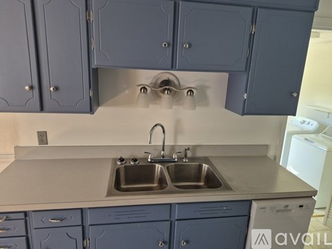 A kitchen with a double sink and blue cabinets.