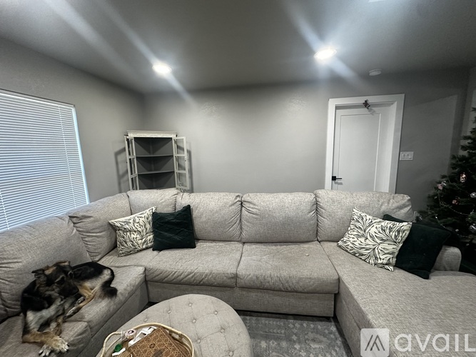A dog is sitting on a grey couch with a Christmas tree in the background.