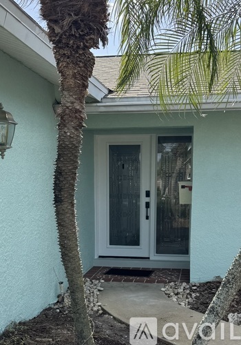 A palm tree stands in front of a white door.