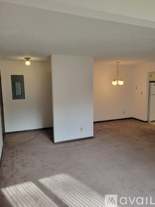 A room with a carpeted floor and a light fixture hanging from the ceiling.