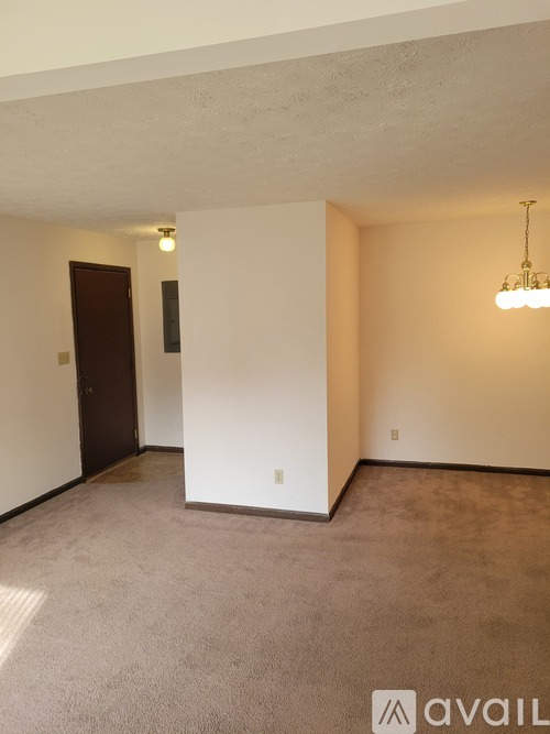 A room with a carpeted floor and a brown door.