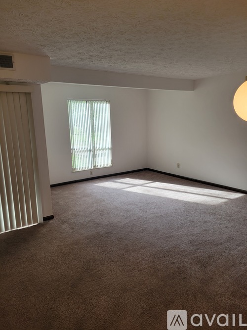 A room with a carpeted floor and a window with blinds.
