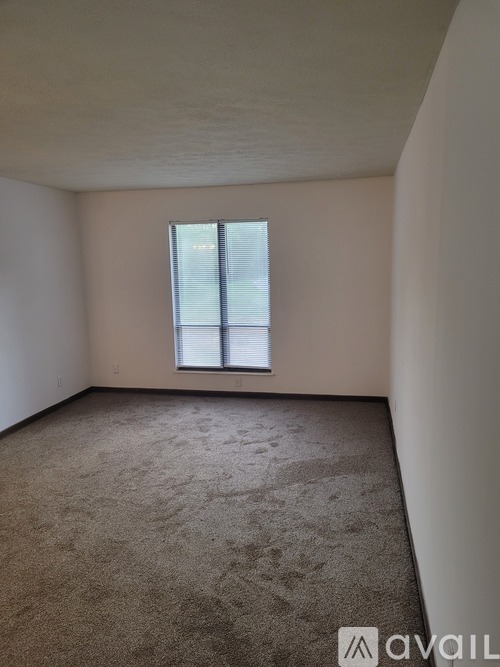 A carpeted room with a window and a white wall.