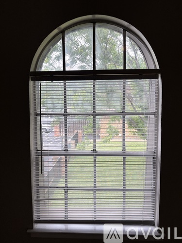 A window with a view of a green lawn and trees.