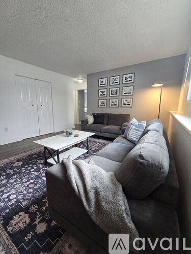 A living room with a grey couch, a white coffee table, and a rug with a black and white pattern.