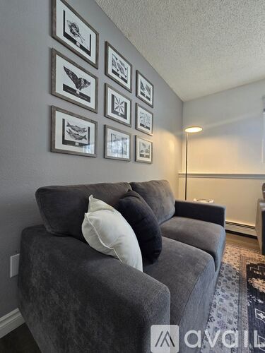 A grey couch with a white pillow on it in front of a wall with picture frames.