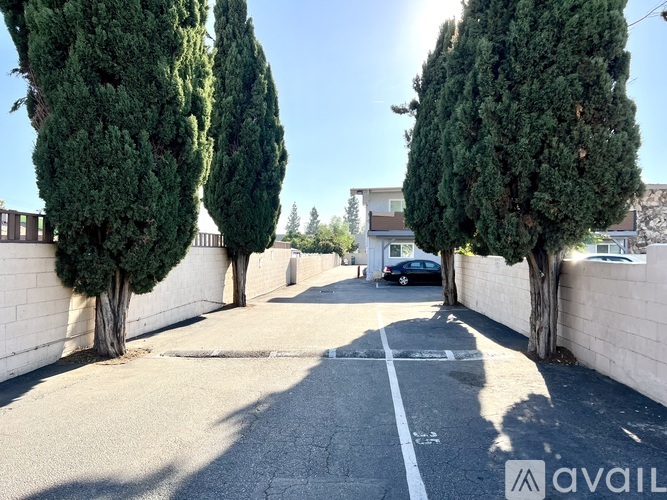 A street lined with tall trees and a car parked on the side.