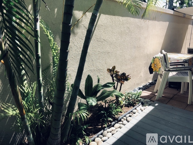 A bee is flying over a potted plant on a patio.