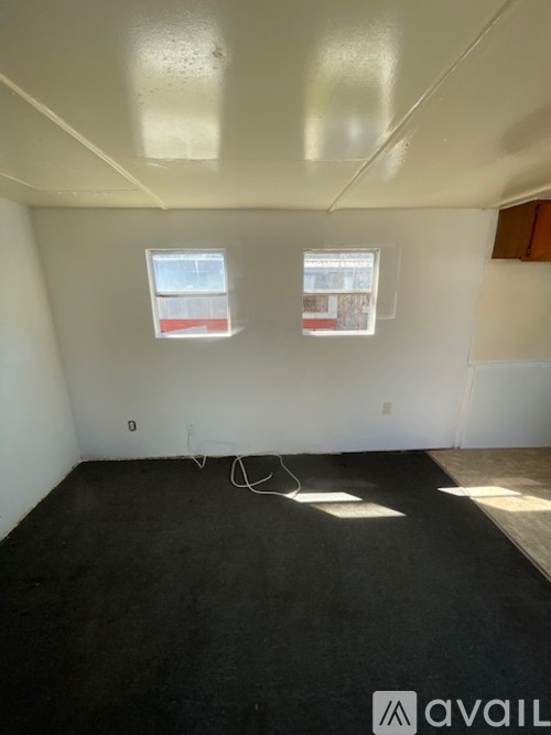 A room with two windows and a white ceiling.