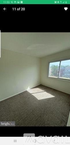 A room with a window and a carpeted floor.
