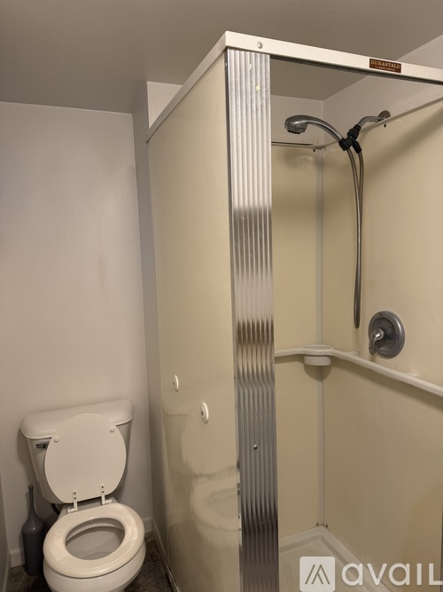 A white toilet is next to a shower in a bathroom.