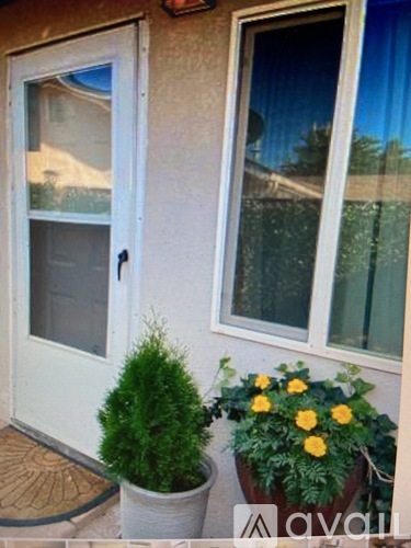 A white door is on the left and a window with a blue curtain is on the right.