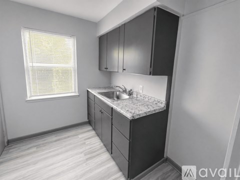 A kitchen with a sink and cabinets.