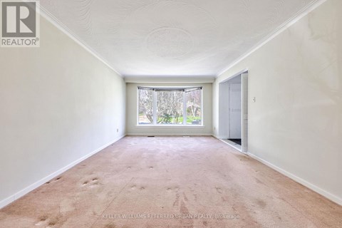 A room with a carpeted floor and a window with a view of trees.
