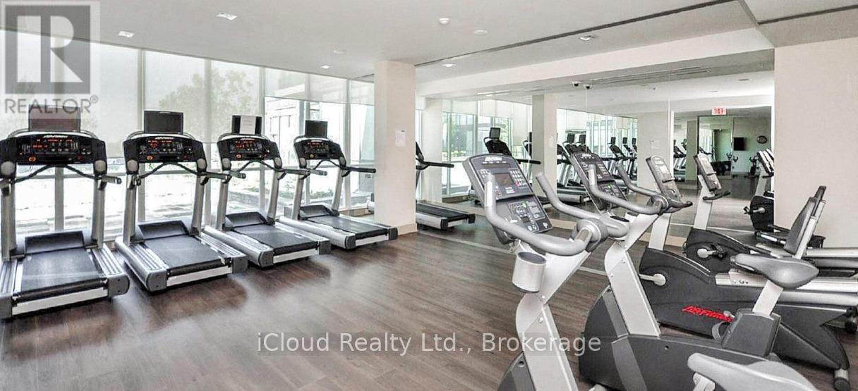 A gym with treadmills and elliptical machines.