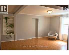 A room with a chair and a plant in it.
