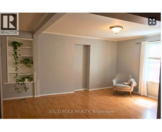 A room with a chair and a plant in it.