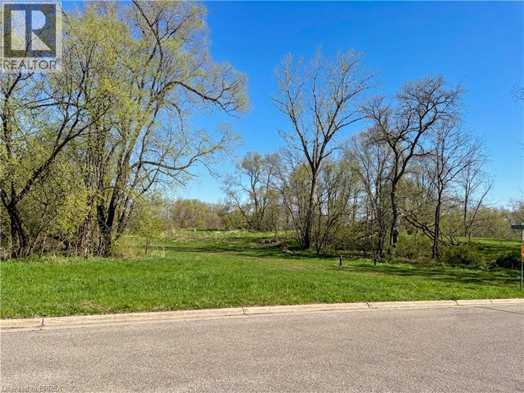 A park with a grassy area and trees.