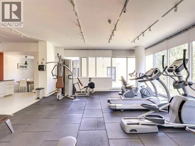 A gym with treadmills, elliptical machines, and other exercise equipment.