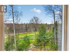 A view from a window looking out at a forest.