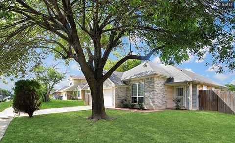 2203 Armadillo Drive 3 Beds Apartment for Rent