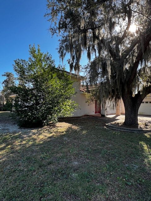 A tree with Spanish moss hanging from its branches is in the foreground of a grassy area.